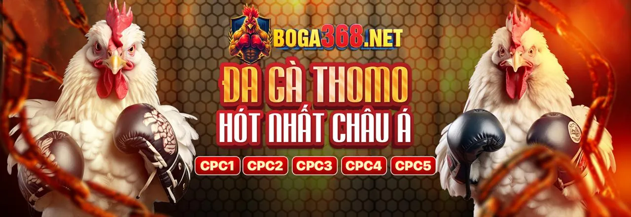 Bảng tỷ lệ cược và các loại kèo cược thể thao tại 999ok
